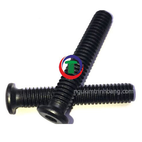Round head hex socket bolts